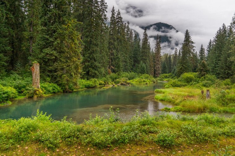 183 Hyder, Fish Creek.jpg
